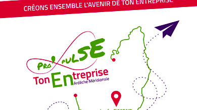 Affiche Pro'Pulse Ton Entreprise 2025