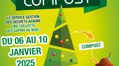 Affiche Collecte de sapins 2025